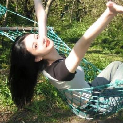 大象与小蝶物语